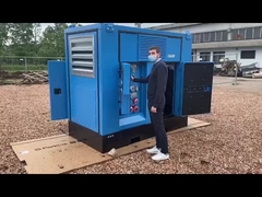 カミンズ発電所発電