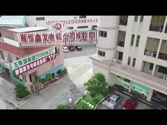 広東サンキングス・エレクトリック株式会社