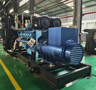 購入 700kVA 560KW 工場価格 プレミアム LPG 発電機 高効率のインバーター付き 天然ガスの発電機 online manufacture