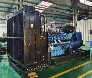 購入 1800kVA 1440KW 満足のいくダイナモ LPG発電機 ガス発電機 工業用エネルギー供給のための天然ガスセット online manufacture
